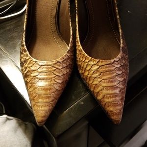 Stunning Snake print Pumps